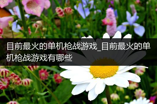 目前最火的单机枪战游戏_目前最火的单机枪战游戏有哪些