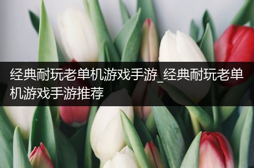 经典耐玩老单机游戏手游_经典耐玩老单机游戏手游推荐