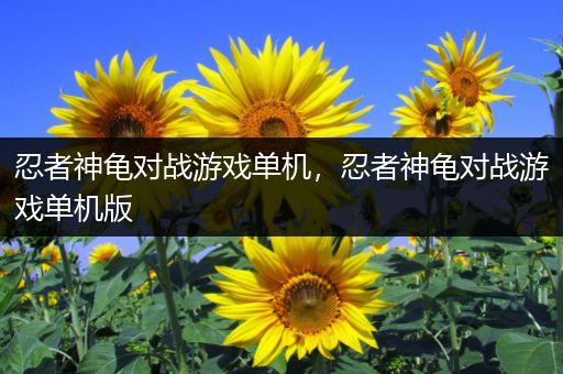 忍者神龟对战游戏单机，忍者神龟对战游戏单机版