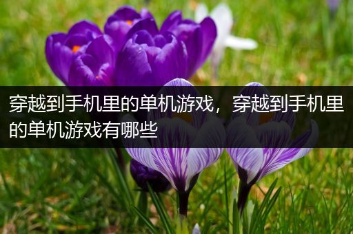 穿越到手机里的单机游戏，穿越到手机里的单机游戏有哪些