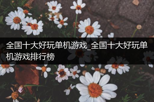 全国十大好玩单机游戏_全国十大好玩单机游戏排行榜