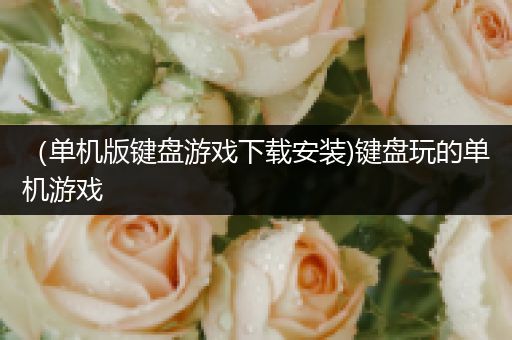 （单机版键盘游戏下载安装)键盘玩的单机游戏