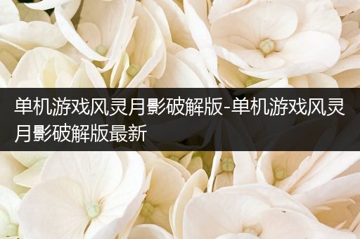 单机游戏风灵月影破解版-单机游戏风灵月影破解版最新