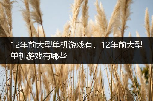 12年前大型单机游戏有，12年前大型单机游戏有哪些