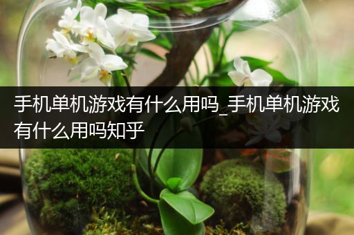 手机单机游戏有什么用吗_手机单机游戏有什么用吗知乎