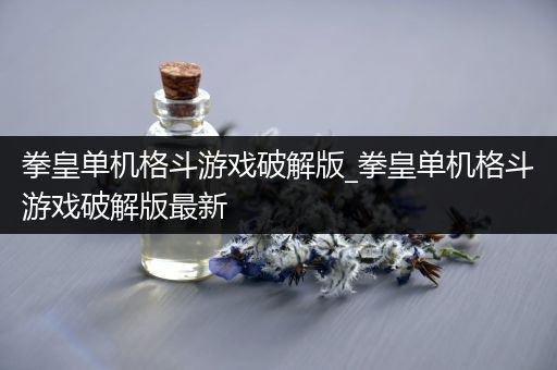 拳皇单机格斗游戏破解版_拳皇单机格斗游戏破解版最新