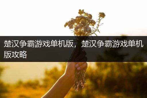 楚汉争霸游戏单机版，楚汉争霸游戏单机版攻略