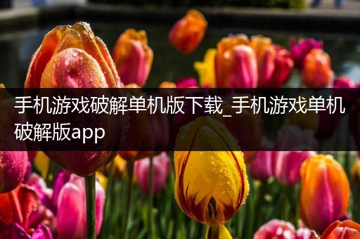 手机游戏破解单机版下载_手机游戏单机破解版app