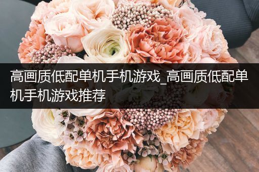 高画质低配单机手机游戏_高画质低配单机手机游戏推荐
