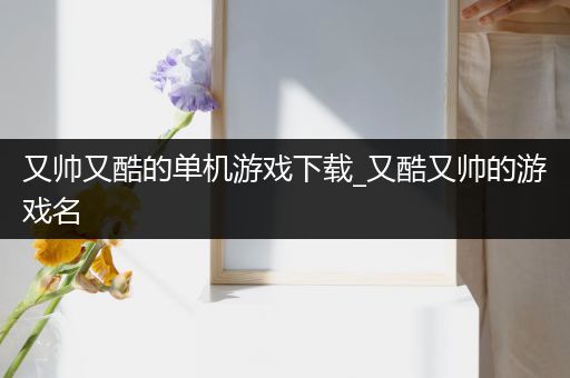 又帅又酷的单机游戏下载_又酷又帅的游戏名