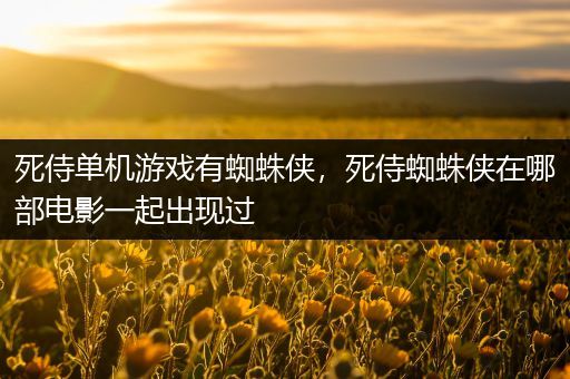 死侍单机游戏有蜘蛛侠，死侍蜘蛛侠在哪部电影一起出现过