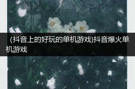（抖音上的好玩的单机游戏)抖音爆火单机游戏