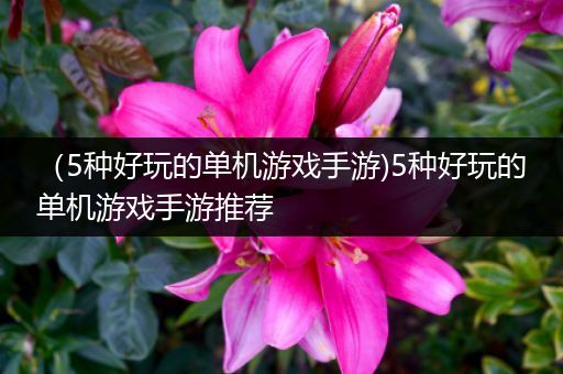 （5种好玩的单机游戏手游)5种好玩的单机游戏手游推荐