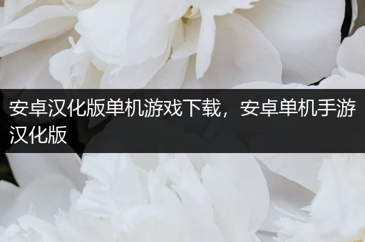 安卓汉化版单机游戏下载，安卓单机手游汉化版