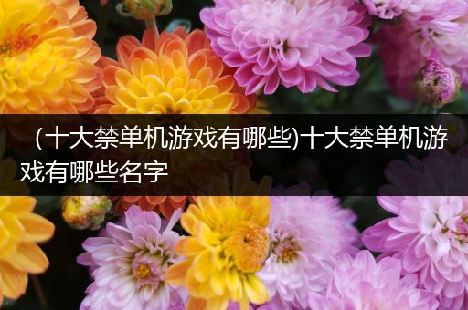 （十大禁单机游戏有哪些)十大禁单机游戏有哪些名字