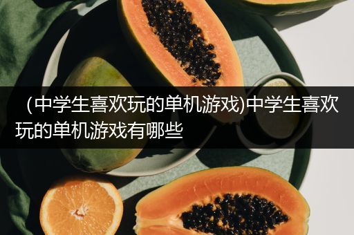 （中学生喜欢玩的单机游戏)中学生喜欢玩的单机游戏有哪些