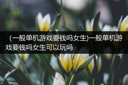 （一般单机游戏要钱吗女生)一般单机游戏要钱吗女生可以玩吗
