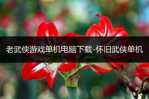 老武侠游戏单机电脑下载-怀旧武侠单机