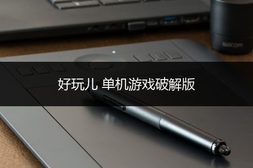 好玩儿 单机游戏破解版