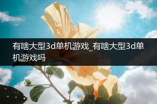 有啥大型3d单机游戏_有啥大型3d单机游戏吗
