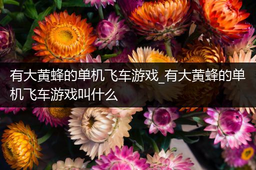 有大黄蜂的单机飞车游戏_有大黄蜂的单机飞车游戏叫什么