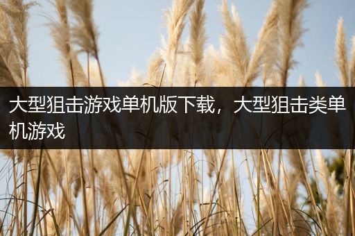 大型狙击游戏单机版下载，大型狙击类单机游戏