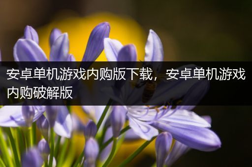 安卓单机游戏内购版下载，安卓单机游戏内购破解版