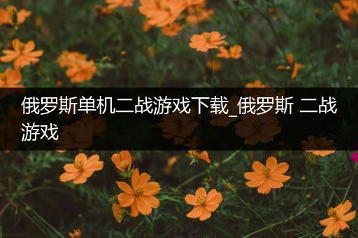 俄罗斯单机二战游戏下载_俄罗斯 二战游戏