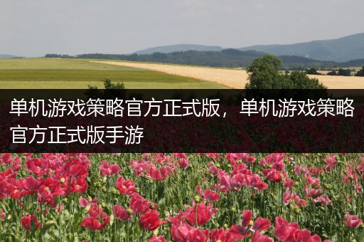 单机游戏策略官方正式版，单机游戏策略官方正式版手游