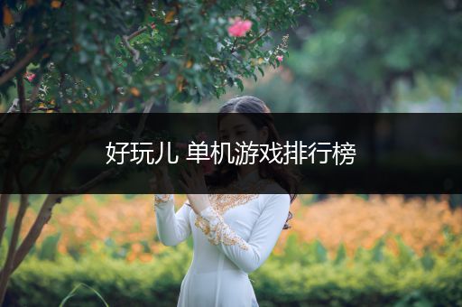 好玩儿 单机游戏排行榜