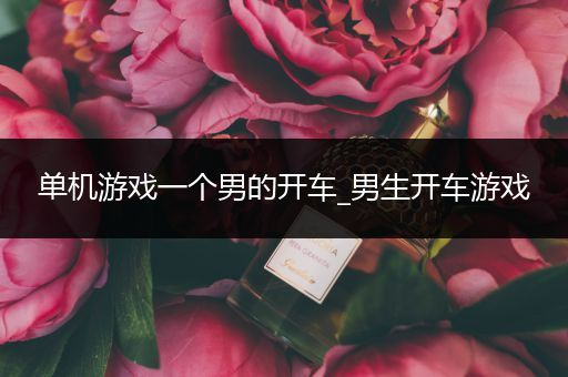 单机游戏一个男的开车_男生开车游戏