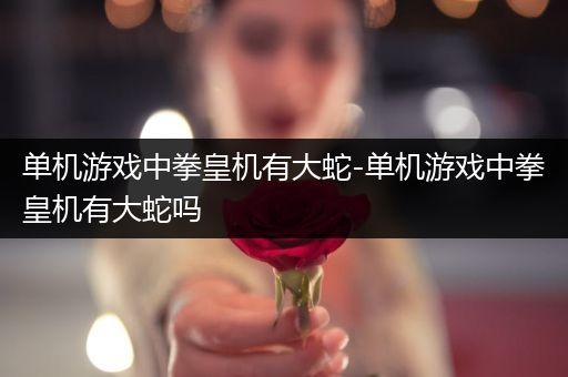 单机游戏中拳皇机有大蛇-单机游戏中拳皇机有大蛇吗