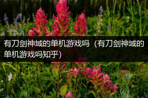 有刀剑神域的单机游戏吗（有刀剑神域的单机游戏吗知乎）