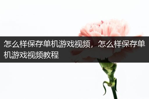 怎么样保存单机游戏视频，怎么样保存单机游戏视频教程
