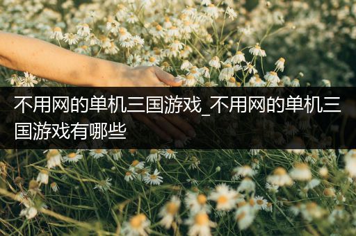 不用网的单机三国游戏_不用网的单机三国游戏有哪些