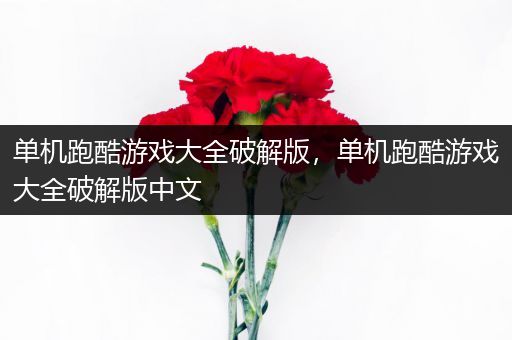 单机跑酷游戏大全破解版，单机跑酷游戏大全破解版中文