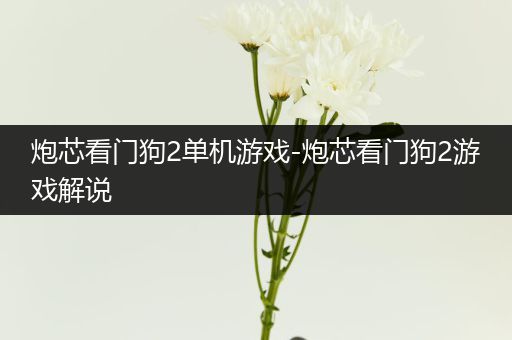 炮芯看门狗2单机游戏-炮芯看门狗2游戏解说