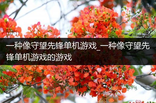 一种像守望先锋单机游戏_一种像守望先锋单机游戏的游戏