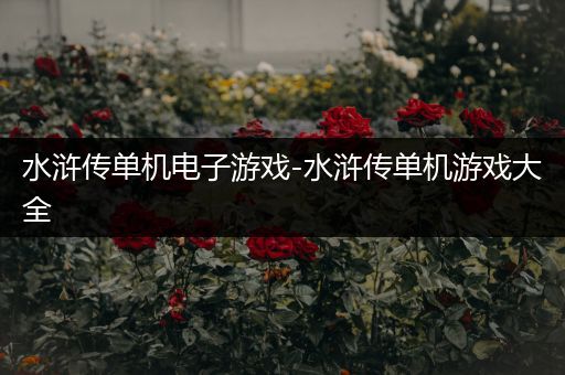 水浒传单机电子游戏-水浒传单机游戏大全