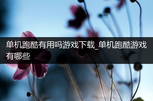 单机跑酷有用吗游戏下载_单机跑酷游戏有哪些