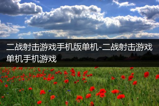 二战射击游戏手机版单机-二战射击游戏单机手机游戏
