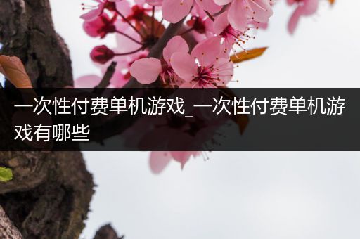 一次性付费单机游戏_一次性付费单机游戏有哪些