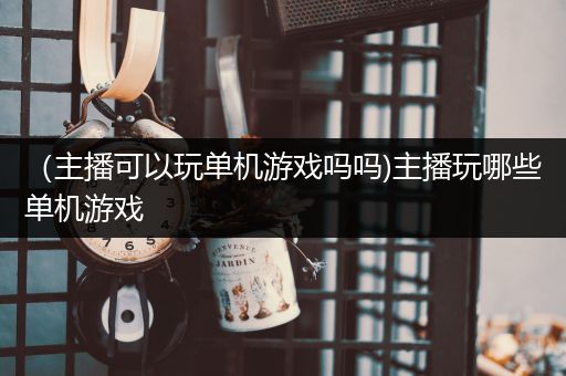 （主播可以玩单机游戏吗吗)主播玩哪些单机游戏