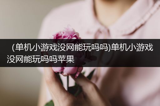 （单机小游戏没网能玩吗吗)单机小游戏没网能玩吗吗苹果