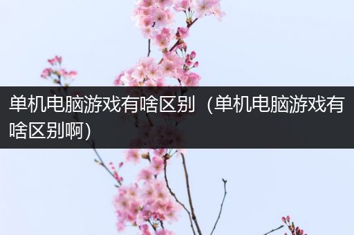单机电脑游戏有啥区别（单机电脑游戏有啥区别啊）