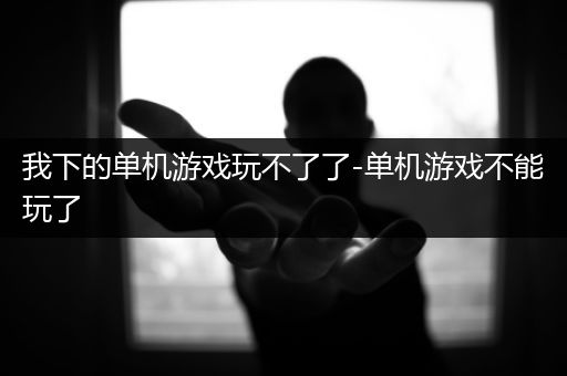 我下的单机游戏玩不了了-单机游戏不能玩了