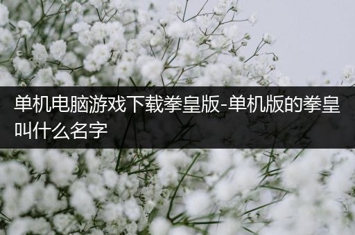 单机电脑游戏下载拳皇版-单机版的拳皇叫什么名字