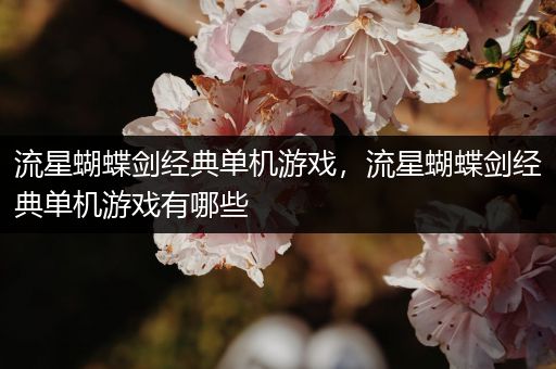 流星蝴蝶剑经典单机游戏，流星蝴蝶剑经典单机游戏有哪些