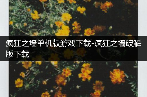 疯狂之墙单机版游戏下载-疯狂之墙破解版下载