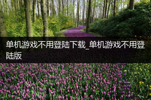 单机游戏不用登陆下载_单机游戏不用登陆版